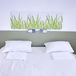 إيبيس بَدجيت غراند شامز فندق
