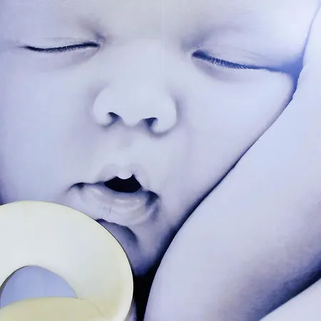 弗莱尔格兰德尚宜必思快捷酒店